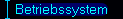 Betriebssystem